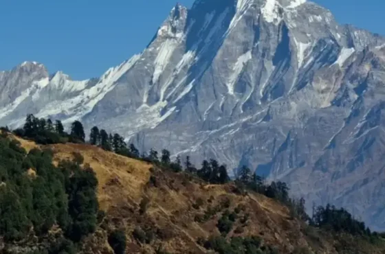  Himalaya Tour Package