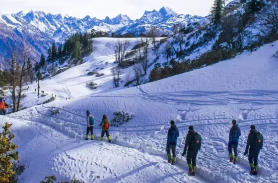 Delhi to Manali Volvo Package