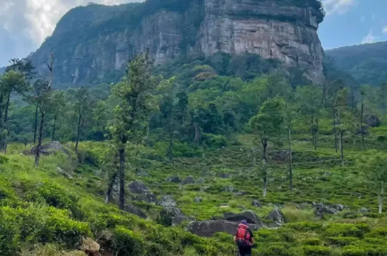 Sri Lanka Nature Trail