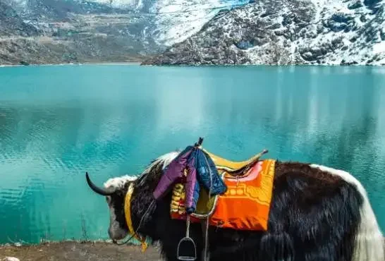 North East Tour Package 